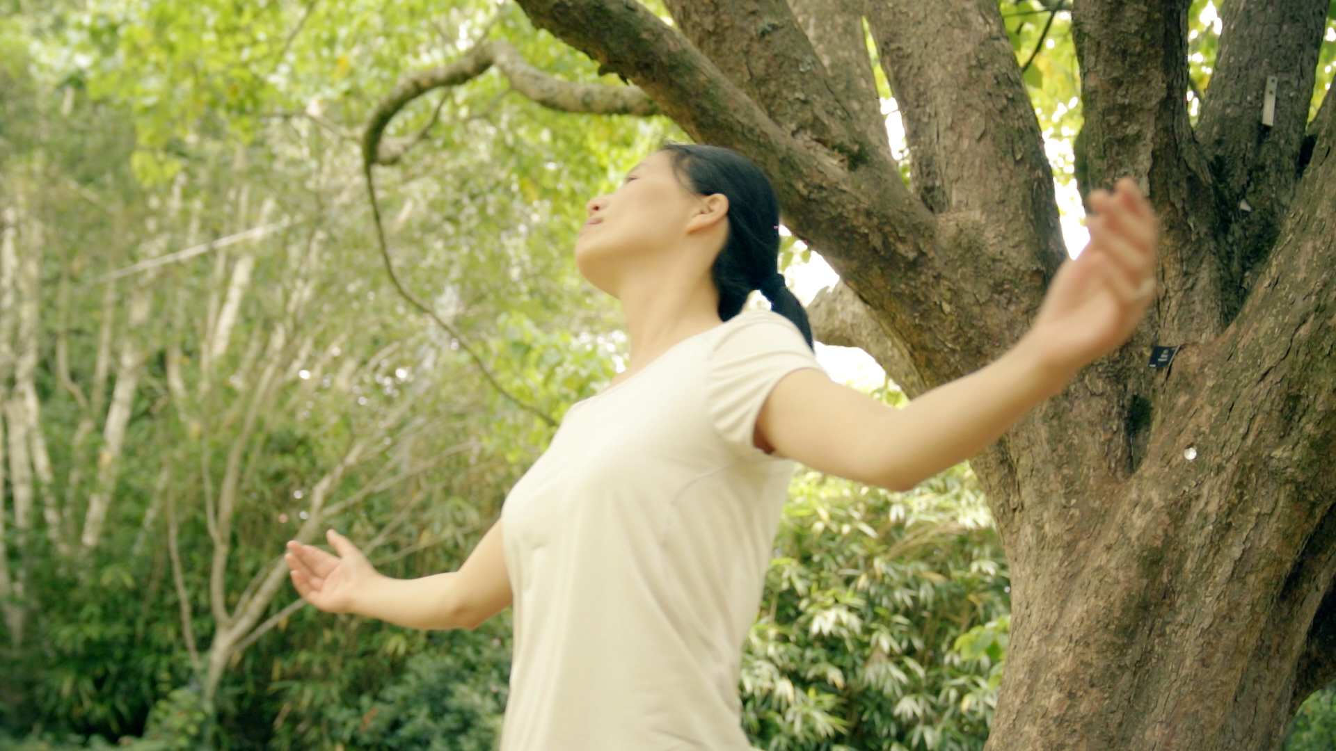 Hero Story - Wendy Image