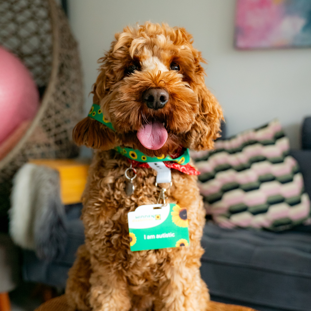 Person wearing Chinese Autism Lanyard